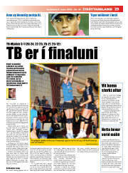 Síða 23