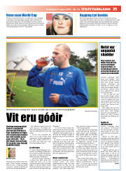 Síða 25