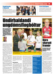 Síða 25