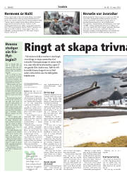 Síða 8