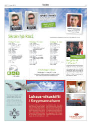 Síða 31