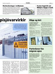 Síða 11