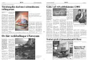 Síða 3
