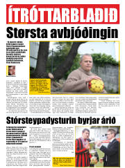 Síða 20