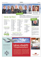 Síða 31