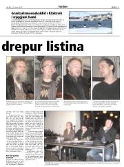 Síða 11