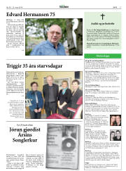 Síða 17