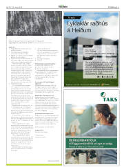 Síða 21