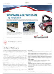 Síða 25