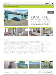 Síða 29