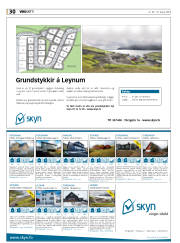 Síða 30