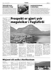 Síða 13