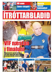 Síða 17