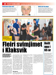 Síða 22