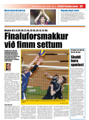 Síða 25