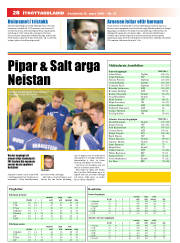 Síða 28