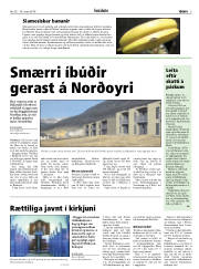 Síða 3