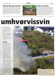 Síða 5