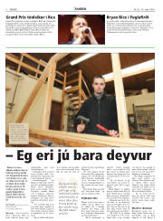 Síða 8