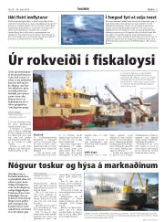 Síða 11