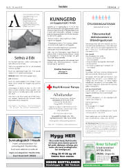 Síða 25
