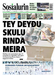 Síða 1