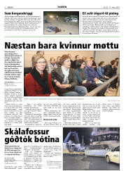 Síða 2