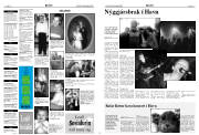 Síða 24