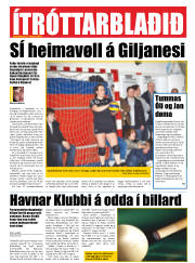 Síða 20