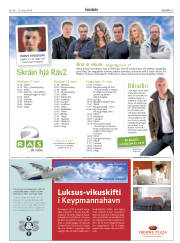 Síða 31