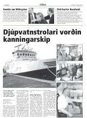 Síða 12