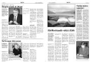Síða 4