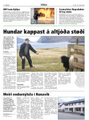 Síða 20