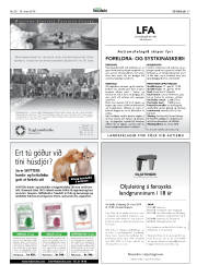 Síða 37