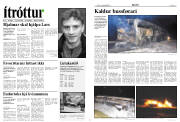 Síða 8