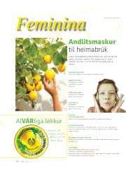 Síða 20