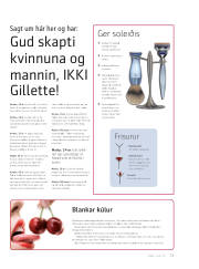 Síða 13