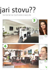 Síða 17