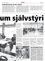 Síða 11