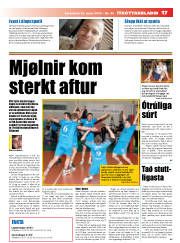 Síða 17