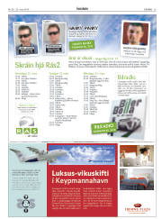 Síða 39