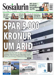 Síða 1