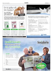 Síða 33