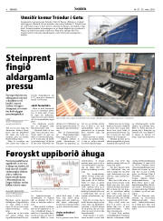 Síða 8