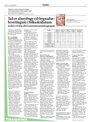 Síða 17