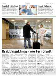 Síða 8