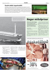 Síða 11