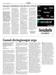 Síða 13