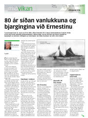 Síða 17