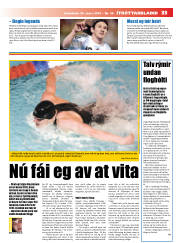 Síða 33
